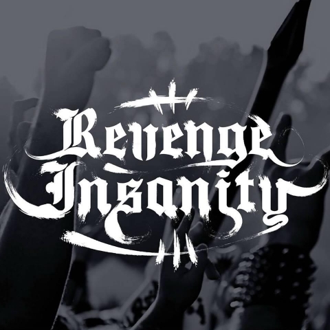Galeria dla Koncert: Revenge Insanity, CrashBackpl, Hekses